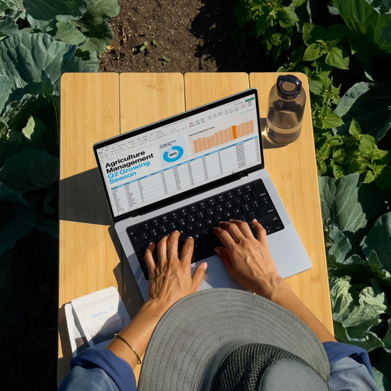 A person is working on a laptop in a field, reviewing agricultural data.